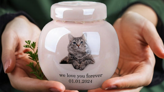 Buy Pet Urn Online,Best Pet Urn for Dogs ,Affordable Pet Urn Options,Unique Pet Urn Designs,Pet Urn Shop or Pet Urn Store 