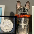 Load image into Gallery viewer, Pet decorations | ceramic hand-painted pet storage box | pet memorial | ceramic hand-painted pet urn | multi-scene pet crafts
