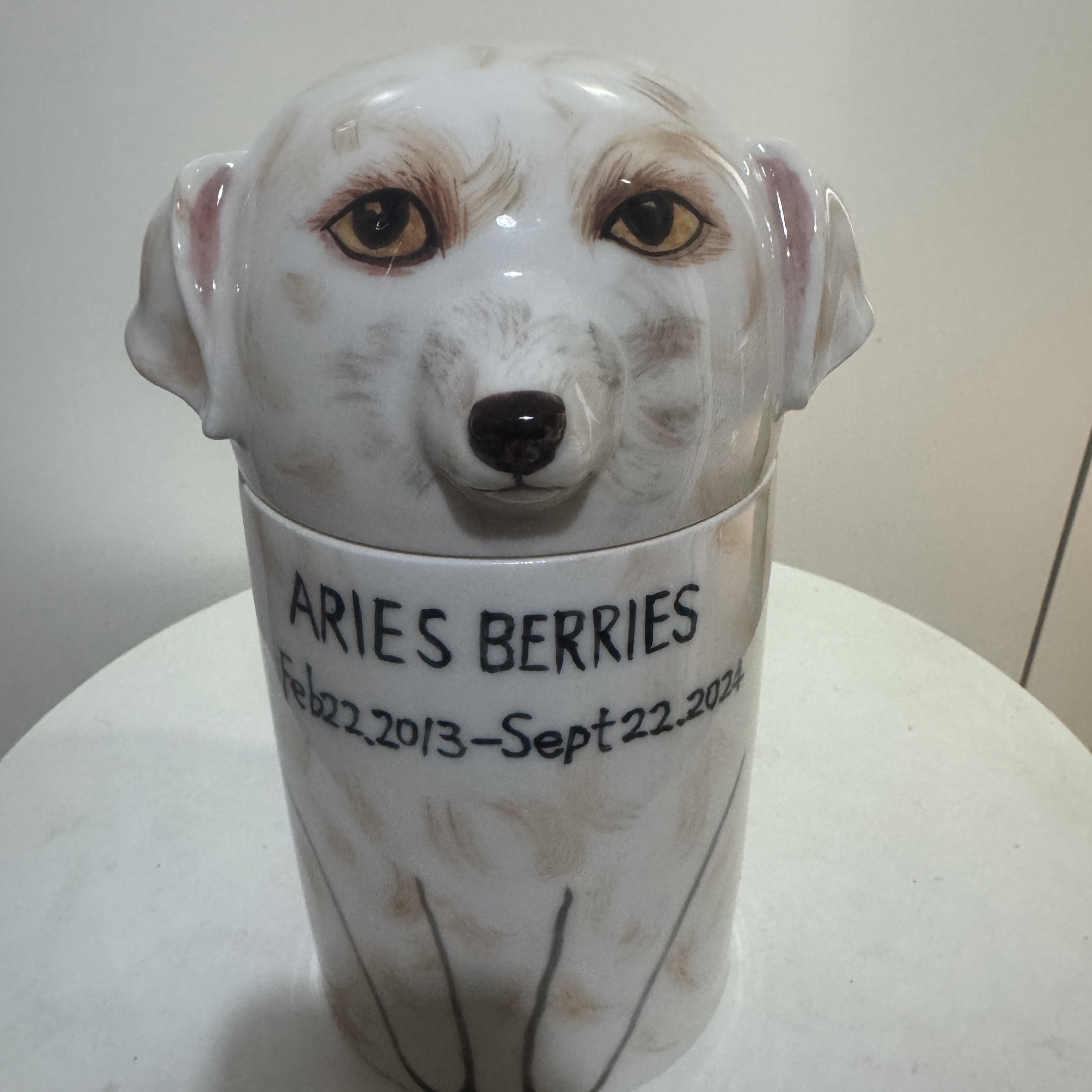 Pet decorations | ceramic hand-painted pet storage box | pet memorial | ceramic hand-painted pet urn | multi-scene pet crafts