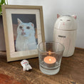 Load image into Gallery viewer, Pet decorations | ceramic hand-painted pet storage box | pet memorial | ceramic hand-painted pet urn | multi-scene pet crafts
