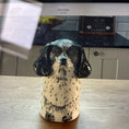 Load image into Gallery viewer, dog urn
