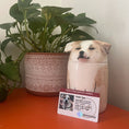 Load image into Gallery viewer, dog urn
